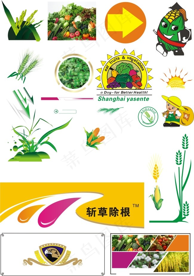 农作物矢量图 斩草除根 稻谷(210X297)cdr矢量模版下载