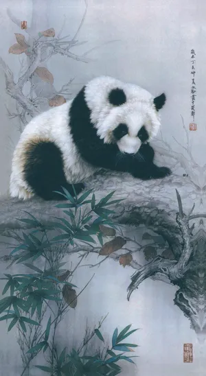 熊猫图片