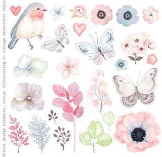 水彩小鸟和花朵