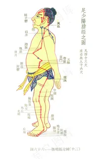 仿明版经络图