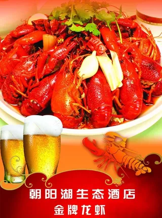 金牌龙虾图片