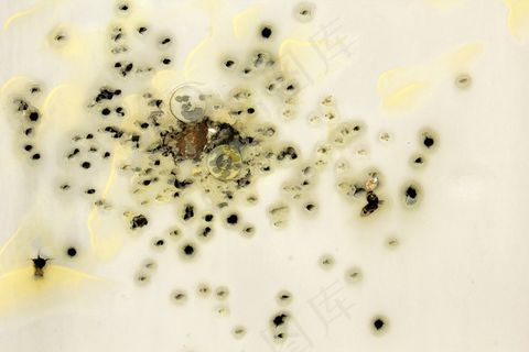 蹩脚的子弹孔平面片