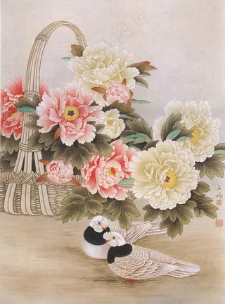 国画花卉白鸽图