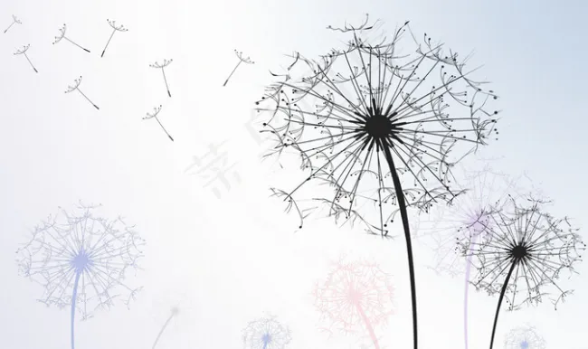 简约蒲公英系列电视背景墙(9071X5669(DPI:72))psd模版下载