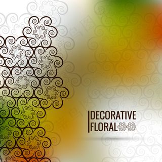 五颜六色的花的背景