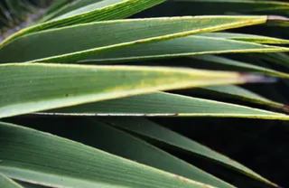 flash曲线图片展示特效