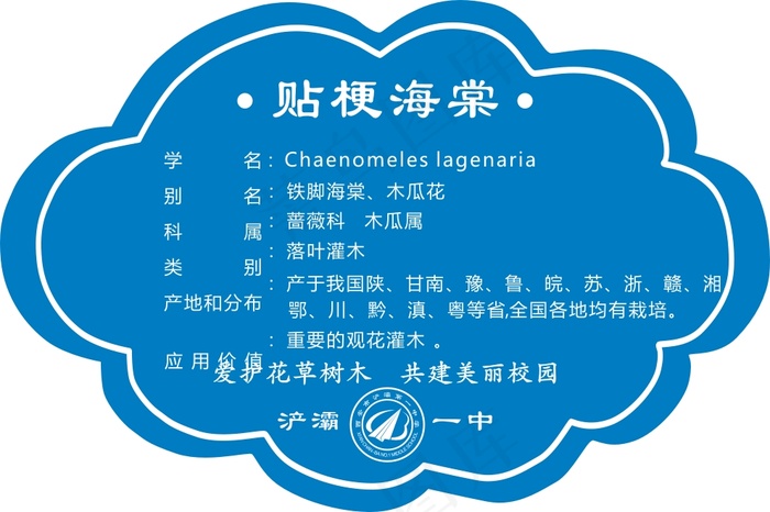 海棠cdr矢量模版下载