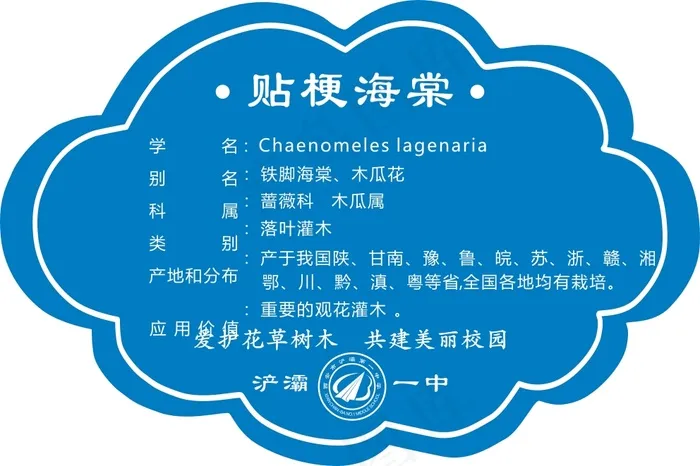 海棠cdr矢量模版下载