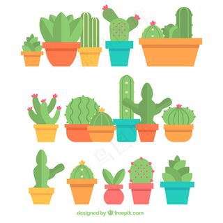 仙人掌花盆在平面设计行业