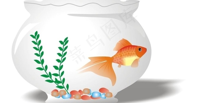 鱼缸金鱼图片cdr矢量模版下载