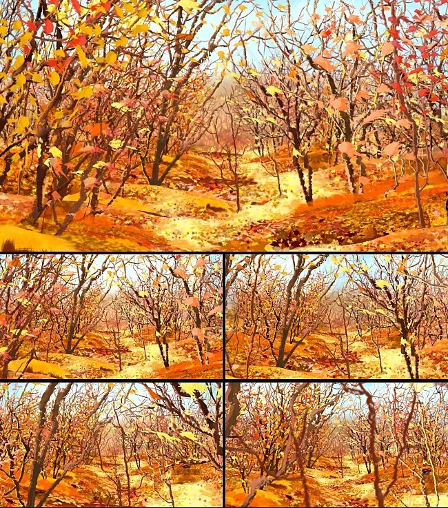 秋天树叶飘落视频