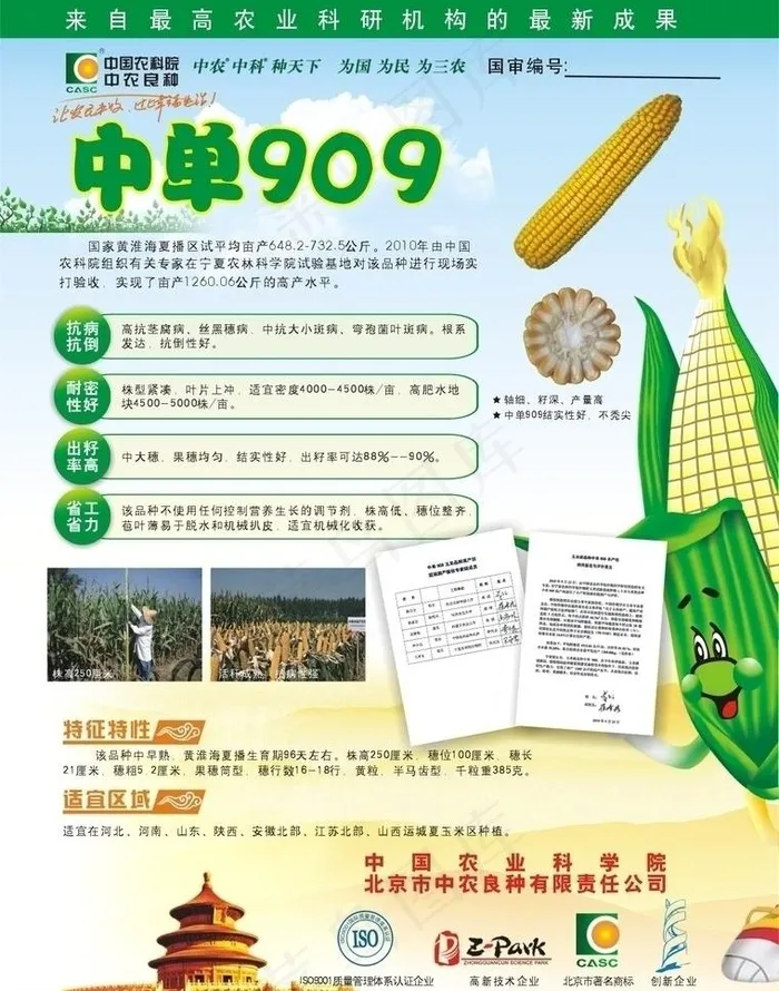 玉米招贴图片cdr矢量模版下载