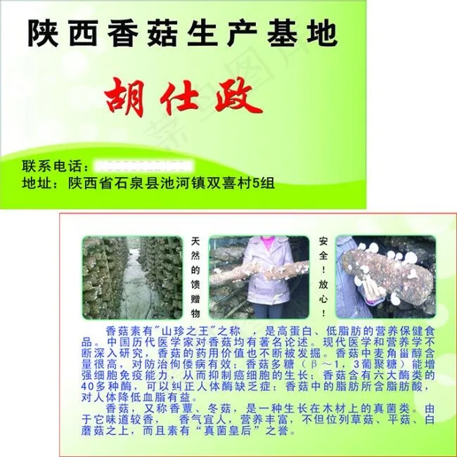 香菇名片psd模版下载