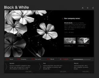 灰色花瓣动态网站flash网站模板