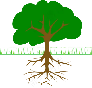 树枝和树根的剪辑艺术