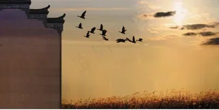 企业大事记背景