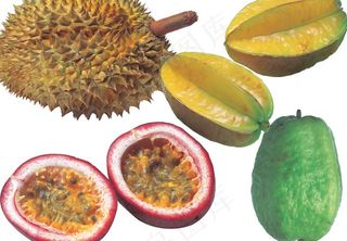 水果图片