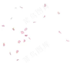 玫瑰花瓣