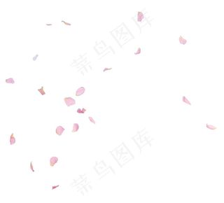 玫瑰花瓣