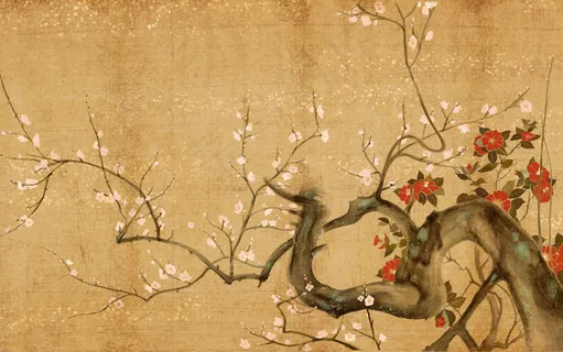 梅花图片 梅花图片