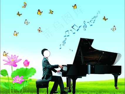 荷花钢琴蝴蝶图片