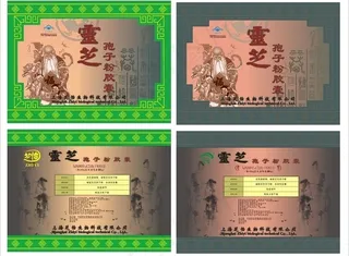 灵芝孢子粉胶囊矢量图图片