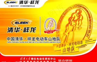 清华祥龙电动车图片