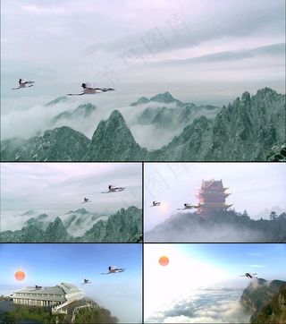 高清风景名胜仙鹤视频素材