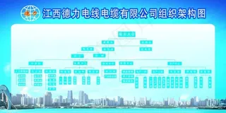 公司结构图图片