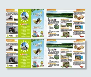 旅游宣传三折页