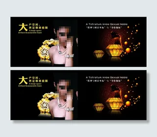 奢华房地产书籍装帧设计效果图