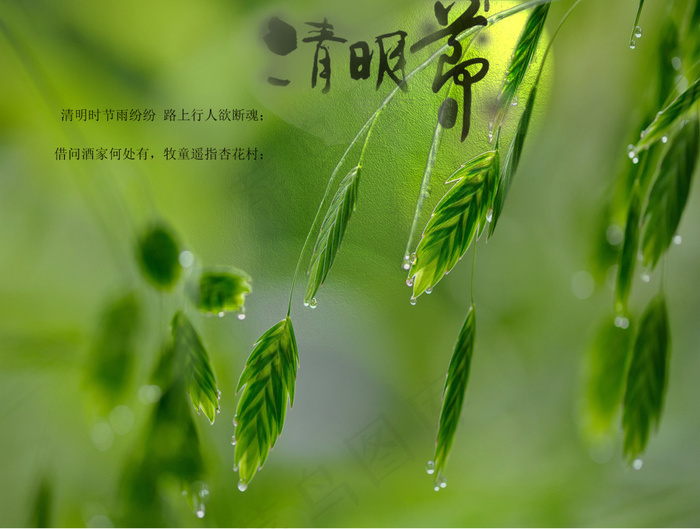 清明节psd模版下载
