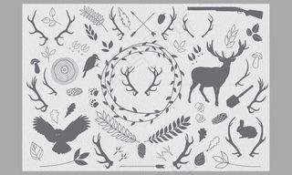 森系矢量植物动物鹰