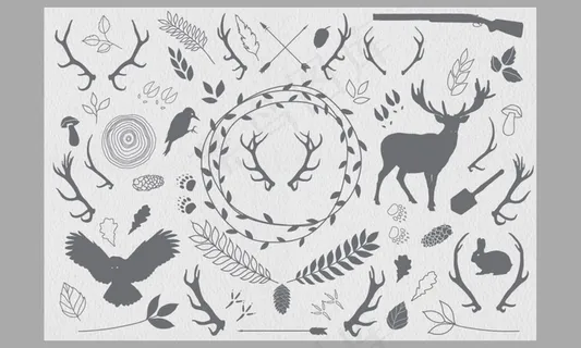 森系矢量植物动物鹰 森系矢量植物动物鹰