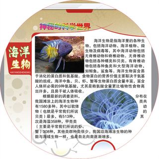 海洋生物