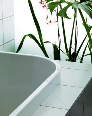 奢华的卫生间图片