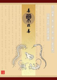 毒药非毒高清PSD设计图下载