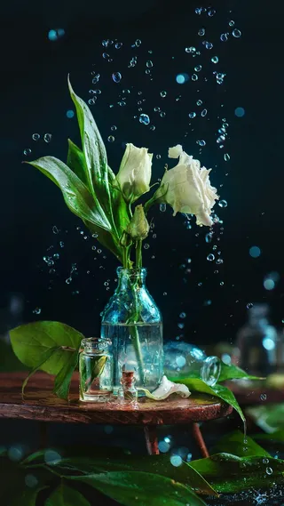 玻璃瓶装着的花高清摄影图片