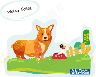 彩绘威尔斯柯基犬矢量素材