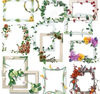 鲜花相框图片
