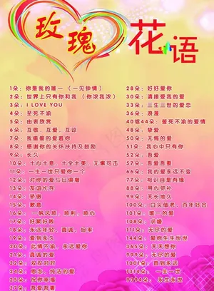 玫瑰花语图片
