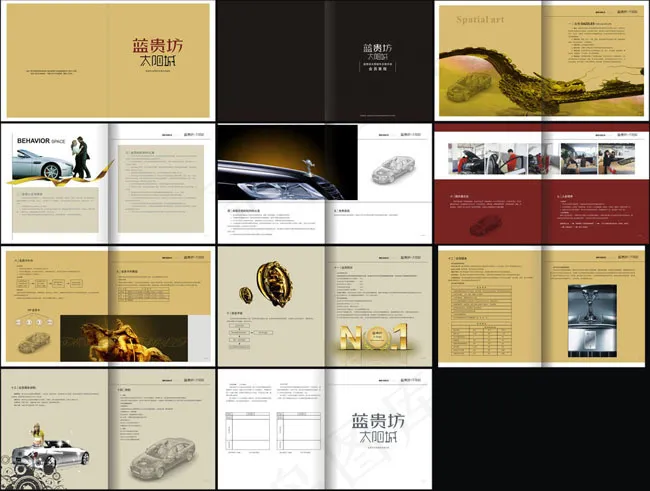 蓝贵坊画册设计矢量素材cdr矢量模版下载