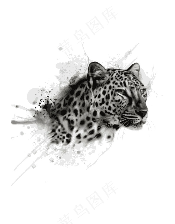 非洲豹黑白插画ai矢量模版下载
