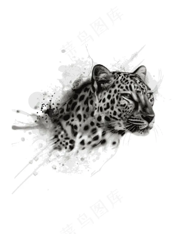 非洲豹黑白插画