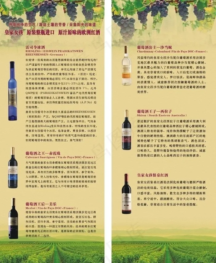 红酒x展架图片cdr矢量模版下载