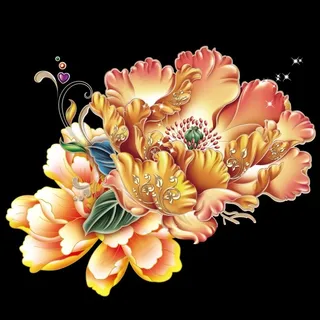 牡丹 牡丹