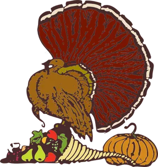 土耳其和收获的剪辑艺术