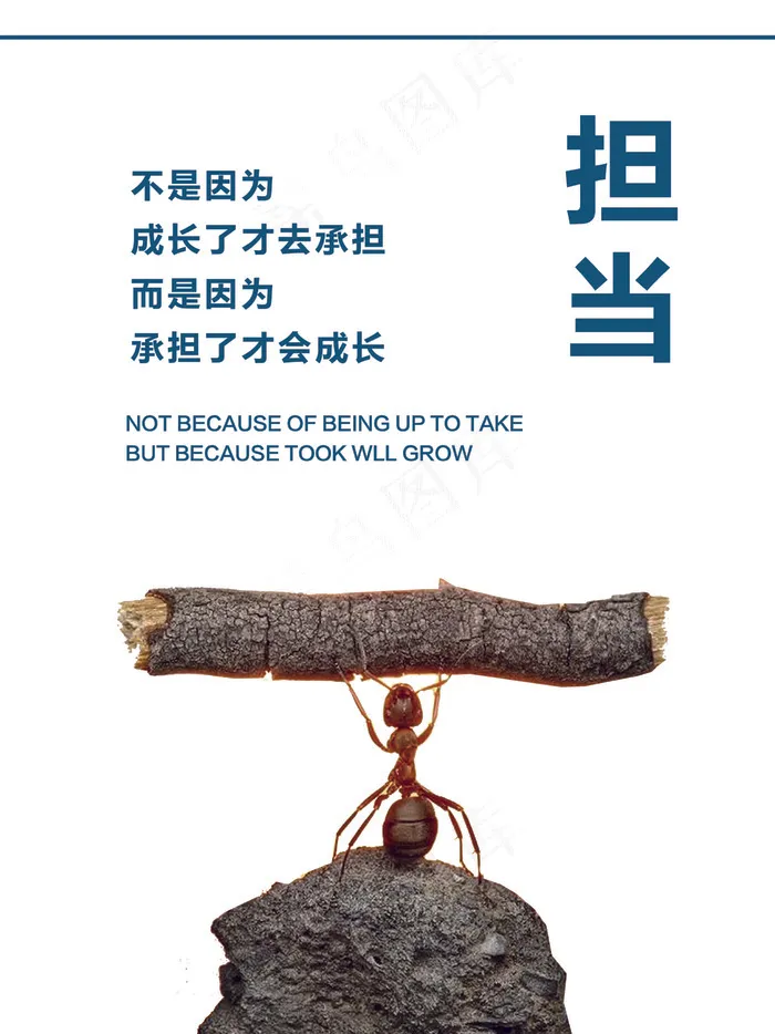 担当psd模版下载