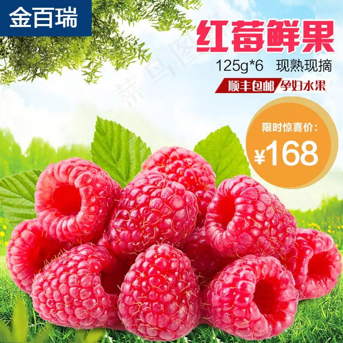 水果主图   鲜水果主图  食物主图(800X800(DPI:72))psd模版下载