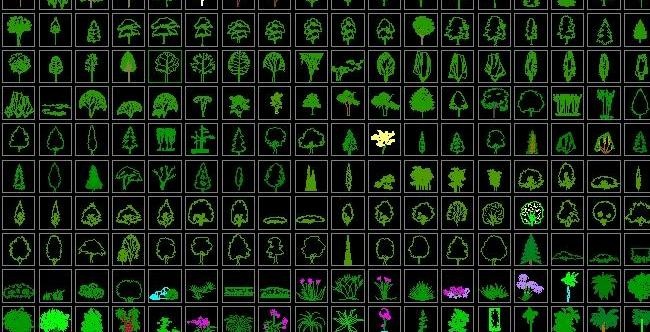 齐全的园林植物立面图例
